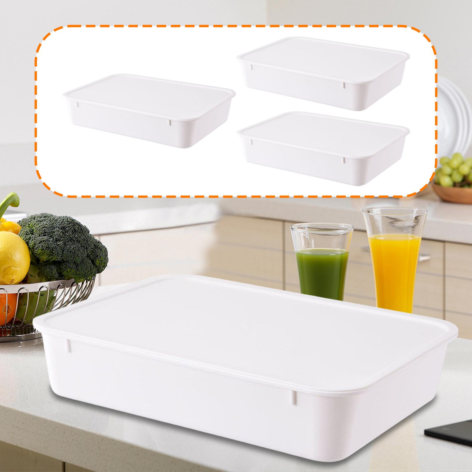 Kotak Fermentasi Adonan Pizza, - Kitchen Baking Containers ulasan dan harga